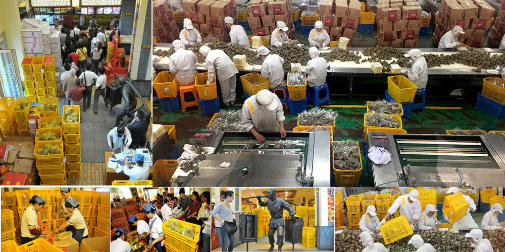 富事达为嘉兴五芳斋集团提供粽子九州体育·（中国）官方网站塑料周转箱